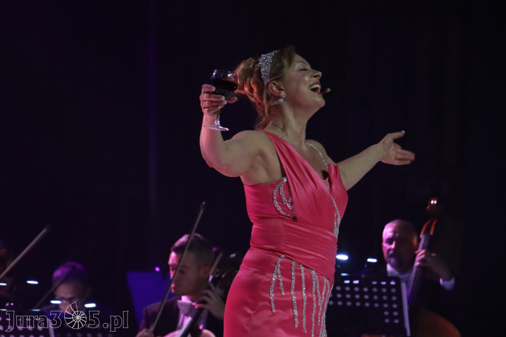 Fotorelacja II: III Festiwal Wiesława Ochmana w Zawierciu - Gala Otwarcia
