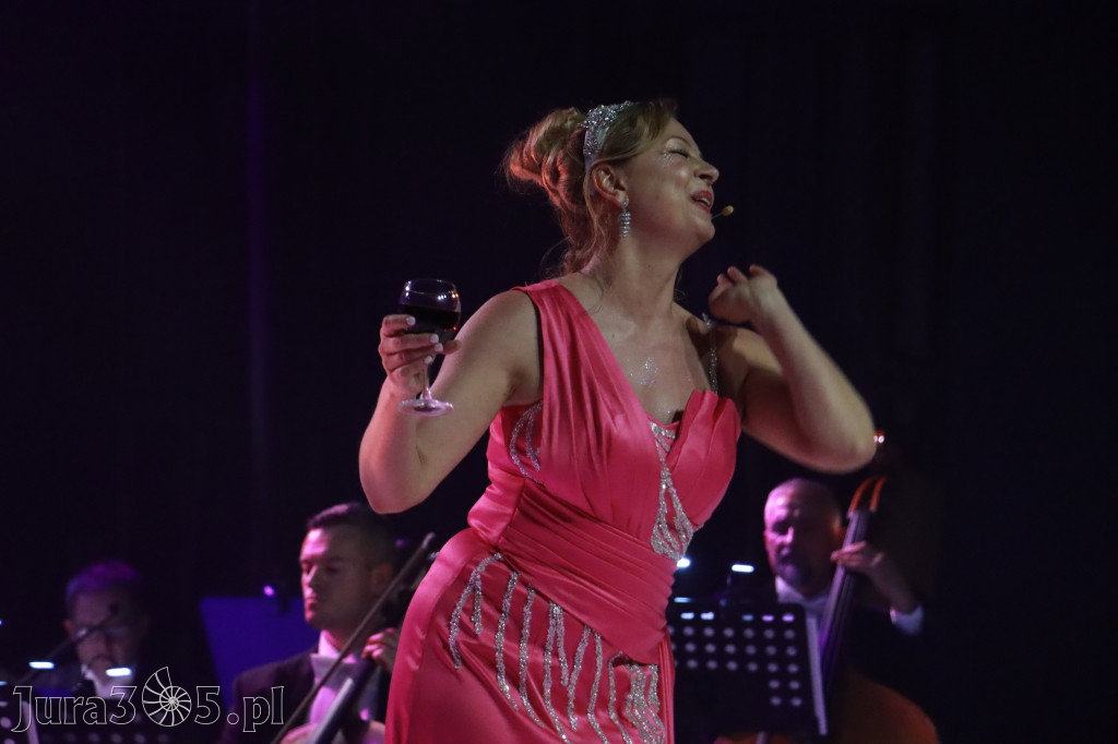 Fotorelacja II: III Festiwal Wiesława Ochmana w Zawierciu - Gala Otwarcia