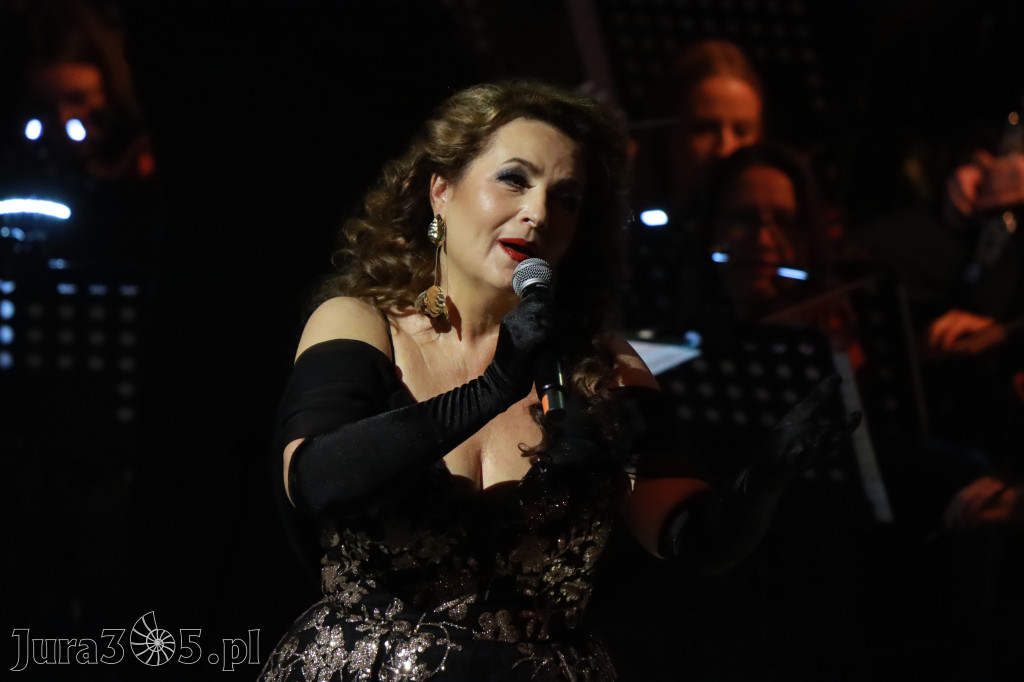 Fotorelacja VI: III Festiwal Wiesława Ochmana w Zawierciu - Gala Finałowa