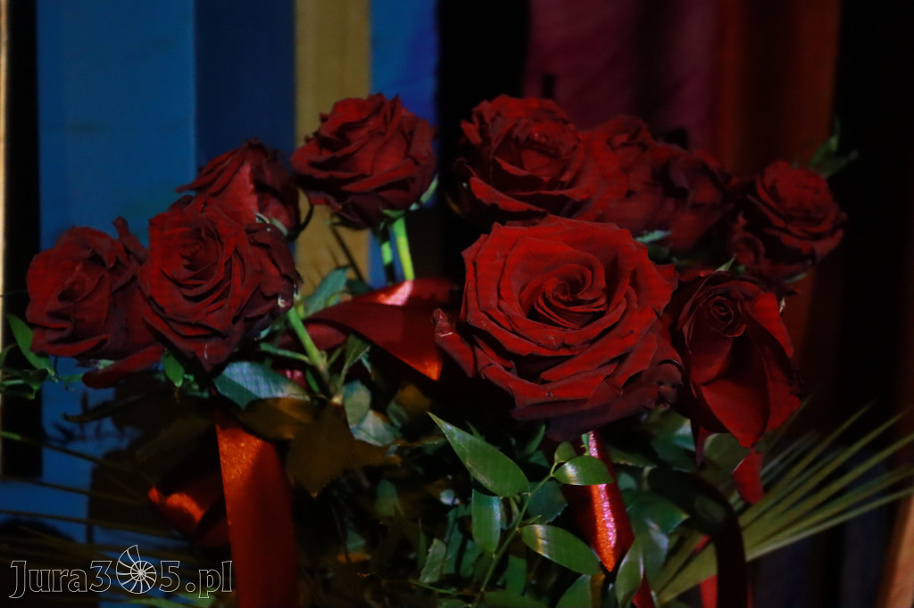 Fotorelacja VI: III Festiwal Wiesława Ochmana w Zawierciu - Gala Finałowa