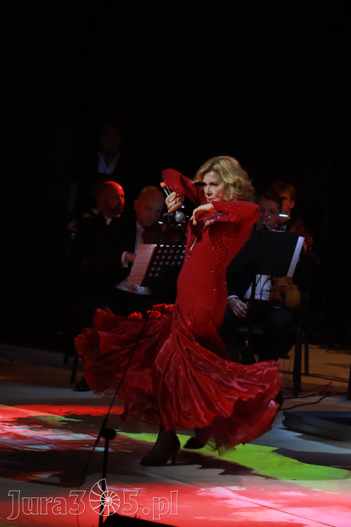 Fotorelacja VII: III Festiwal Wiesława Ochmana w Zawierciu - Gala Finałowa