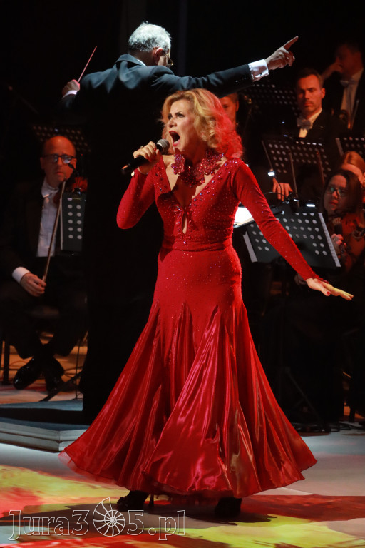 Fotorelacja VII: III Festiwal Wiesława Ochmana w Zawierciu - Gala Finałowa