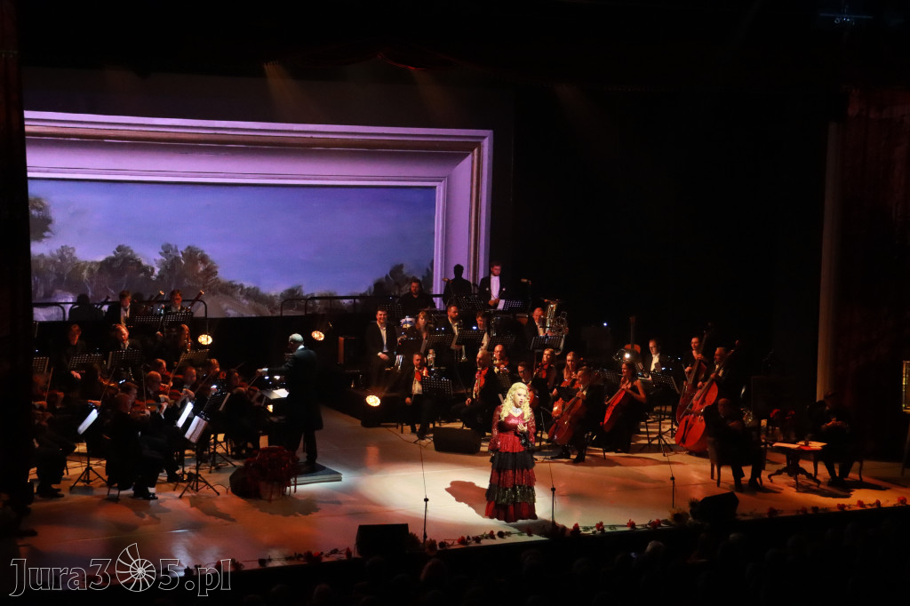 Fotorelacja VIII: III Festiwal Wiesława Ochmana w Zawierciu - Gala Finałowa