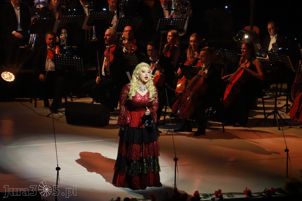 Fotorelacja VIII: III Festiwal Wiesława Ochmana w Zawierciu - Gala Finałowa