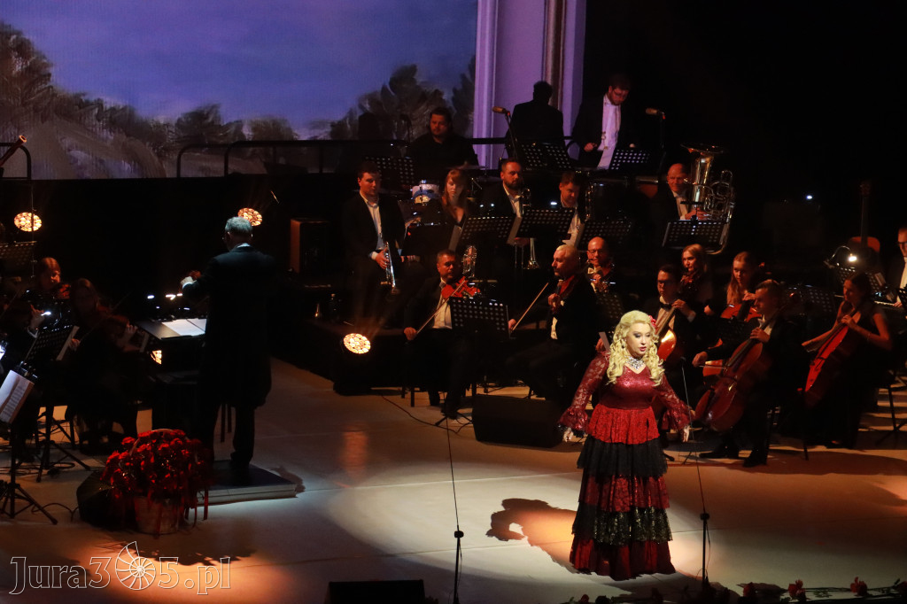 Fotorelacja VIII: III Festiwal Wiesława Ochmana w Zawierciu - Gala Finałowa