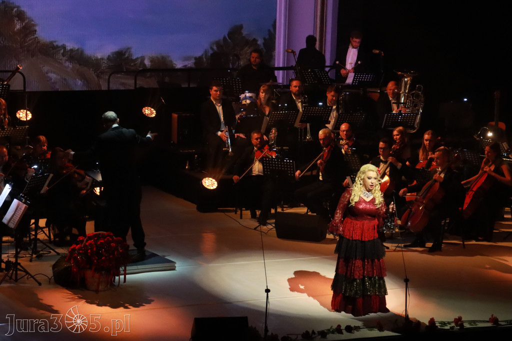 Fotorelacja VIII: III Festiwal Wiesława Ochmana w Zawierciu - Gala Finałowa