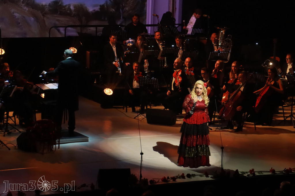 Fotorelacja VIII: III Festiwal Wiesława Ochmana w Zawierciu - Gala Finałowa