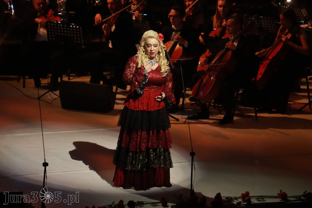 Fotorelacja VIII: III Festiwal Wiesława Ochmana w Zawierciu - Gala Finałowa