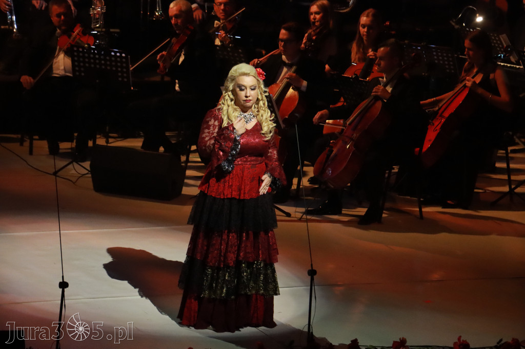 Fotorelacja VIII: III Festiwal Wiesława Ochmana w Zawierciu - Gala Finałowa