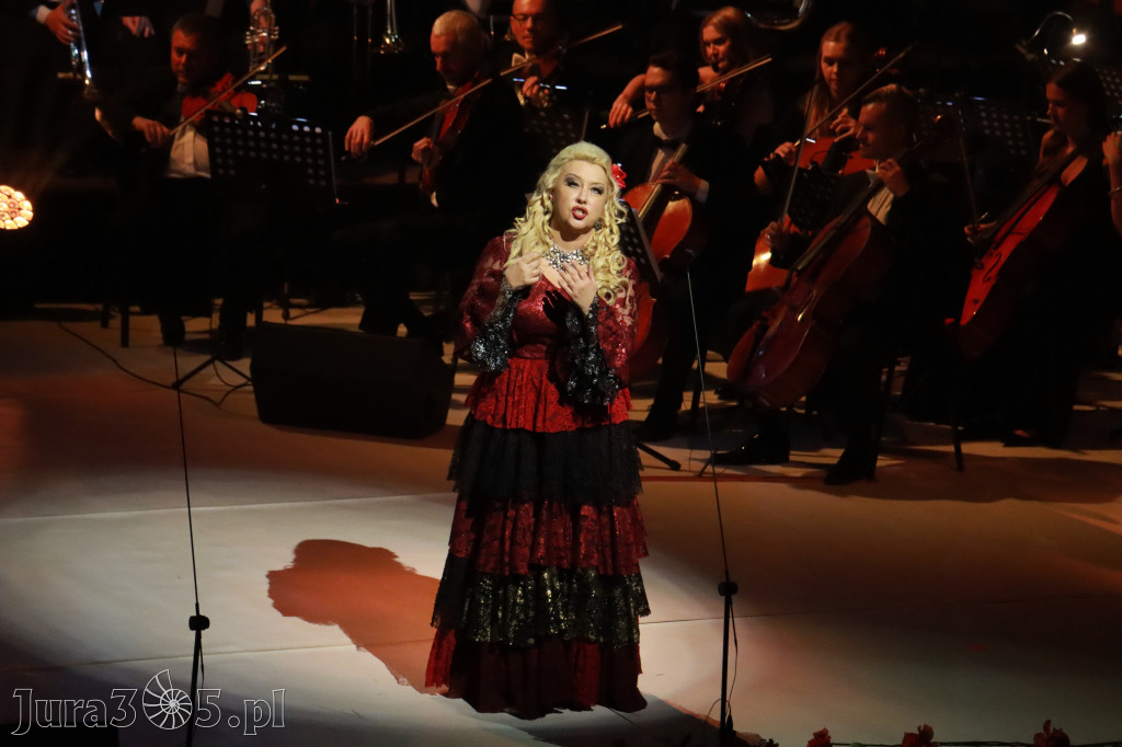 Fotorelacja VIII: III Festiwal Wiesława Ochmana w Zawierciu - Gala Finałowa