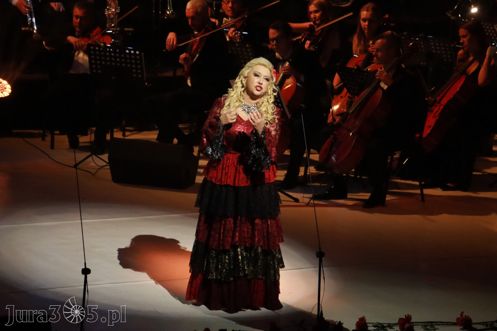 Fotorelacja VIII: III Festiwal Wiesława Ochmana w Zawierciu - Gala Finałowa