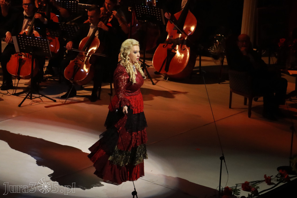 Fotorelacja VIII: III Festiwal Wiesława Ochmana w Zawierciu - Gala Finałowa