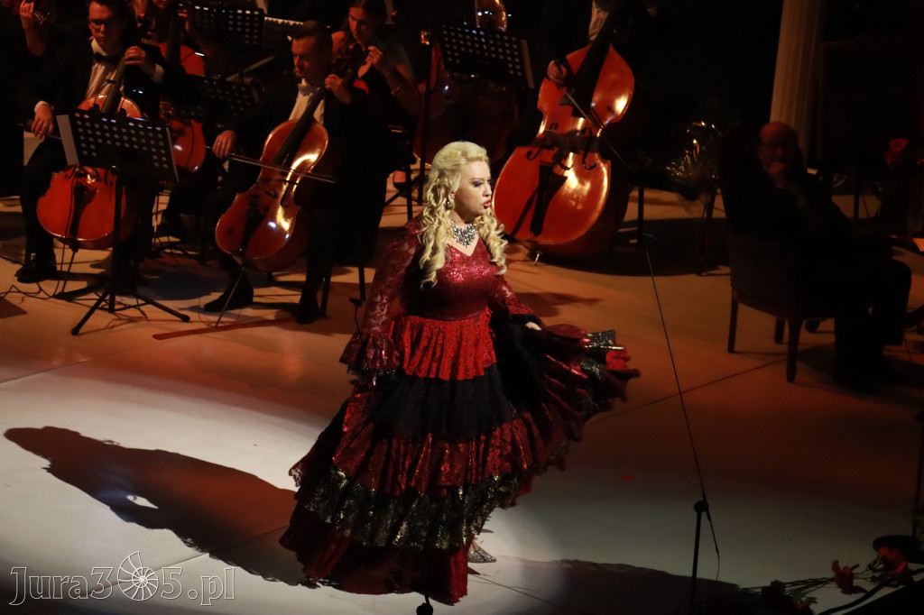 Fotorelacja VIII: III Festiwal Wiesława Ochmana w Zawierciu - Gala Finałowa