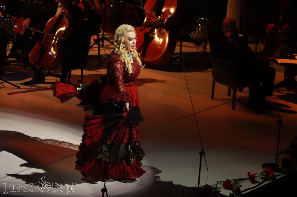 Fotorelacja VIII: III Festiwal Wiesława Ochmana w Zawierciu - Gala Finałowa
