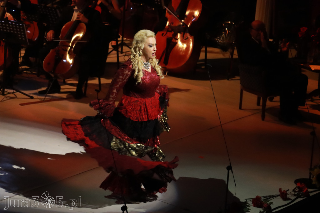 Fotorelacja VIII: III Festiwal Wiesława Ochmana w Zawierciu - Gala Finałowa