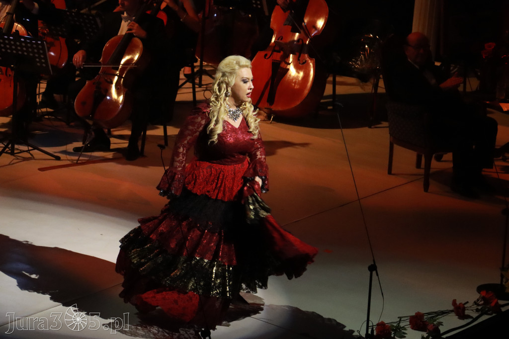 Fotorelacja VIII: III Festiwal Wiesława Ochmana w Zawierciu - Gala Finałowa