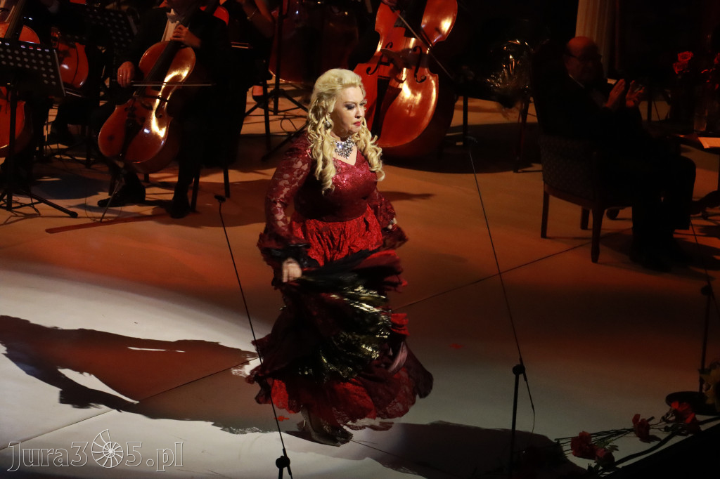 Fotorelacja VIII: III Festiwal Wiesława Ochmana w Zawierciu - Gala Finałowa