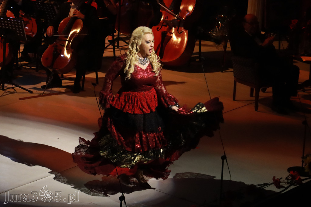 Fotorelacja VIII: III Festiwal Wiesława Ochmana w Zawierciu - Gala Finałowa