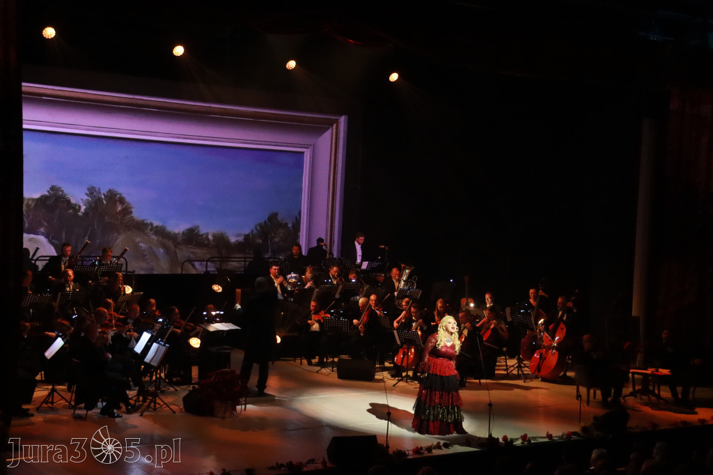 Fotorelacja VIII: III Festiwal Wiesława Ochmana w Zawierciu - Gala Finałowa