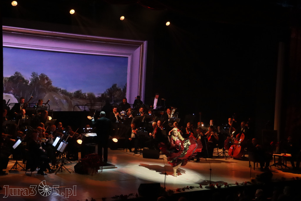 Fotorelacja VIII: III Festiwal Wiesława Ochmana w Zawierciu - Gala Finałowa