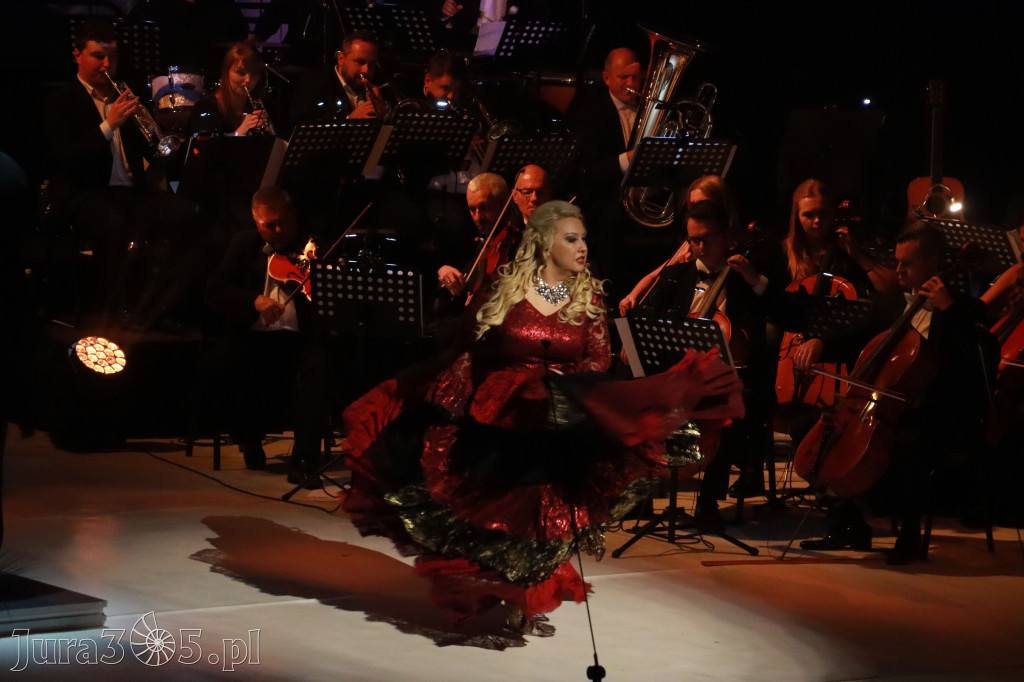 Fotorelacja VIII: III Festiwal Wiesława Ochmana w Zawierciu - Gala Finałowa