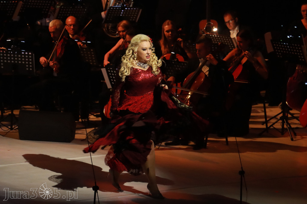 Fotorelacja VIII: III Festiwal Wiesława Ochmana w Zawierciu - Gala Finałowa