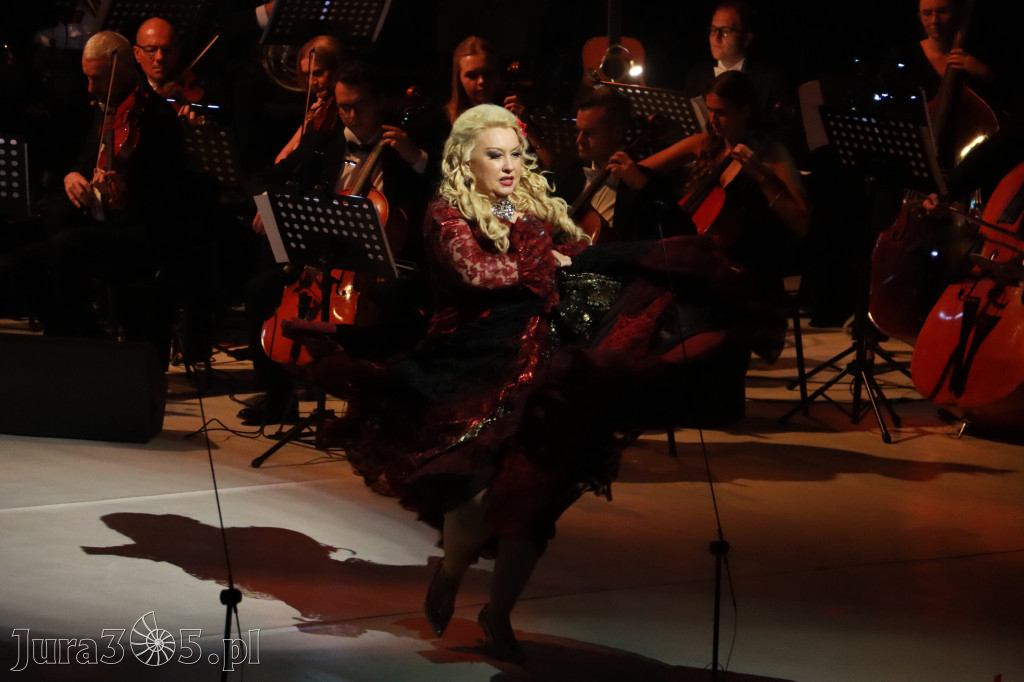 Fotorelacja VIII: III Festiwal Wiesława Ochmana w Zawierciu - Gala Finałowa