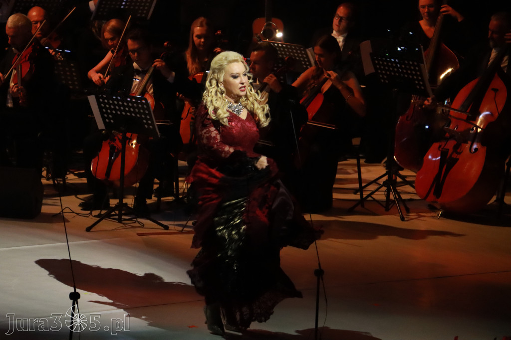 Fotorelacja VIII: III Festiwal Wiesława Ochmana w Zawierciu - Gala Finałowa