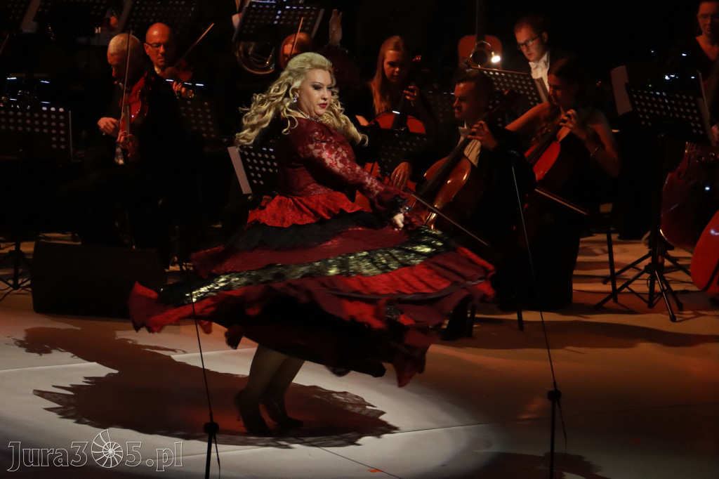 Fotorelacja VIII: III Festiwal Wiesława Ochmana w Zawierciu - Gala Finałowa