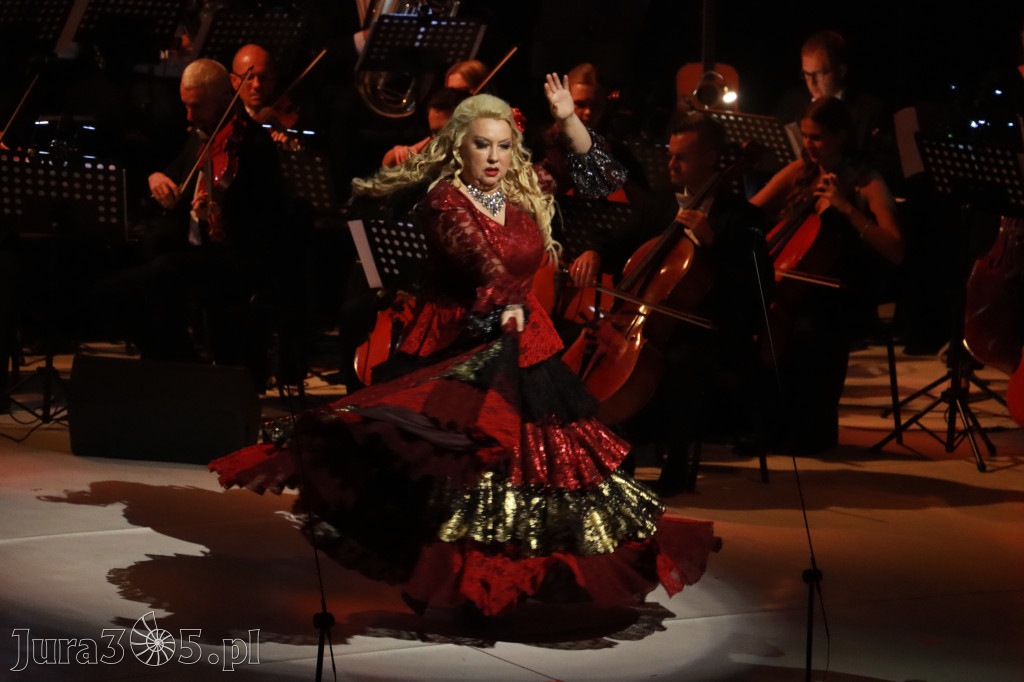 Fotorelacja VIII: III Festiwal Wiesława Ochmana w Zawierciu - Gala Finałowa