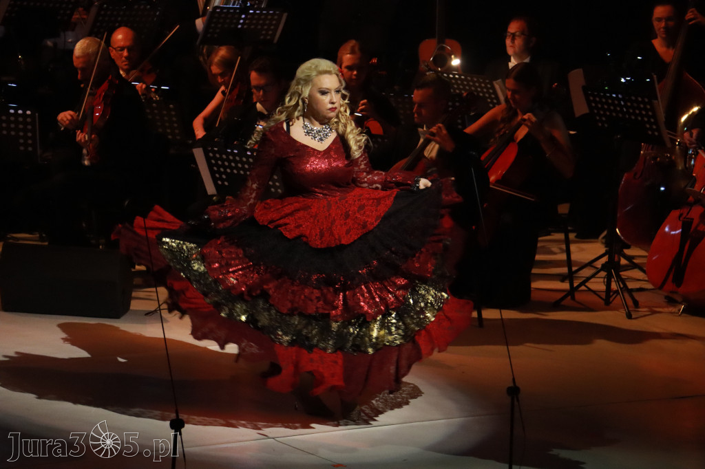 Fotorelacja VIII: III Festiwal Wiesława Ochmana w Zawierciu - Gala Finałowa