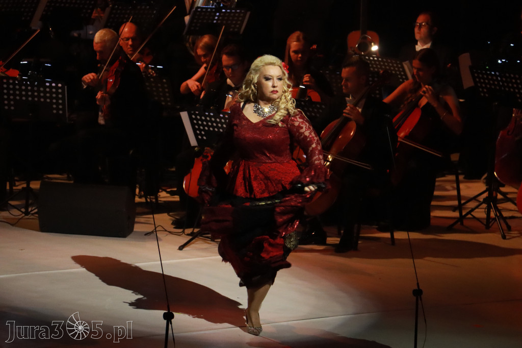 Fotorelacja VIII: III Festiwal Wiesława Ochmana w Zawierciu - Gala Finałowa