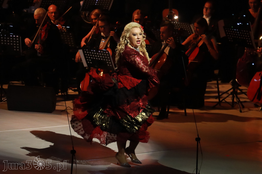 Fotorelacja VIII: III Festiwal Wiesława Ochmana w Zawierciu - Gala Finałowa