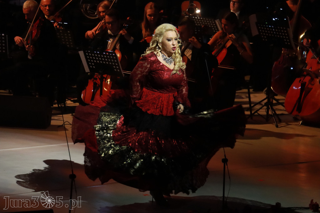 Fotorelacja VIII: III Festiwal Wiesława Ochmana w Zawierciu - Gala Finałowa