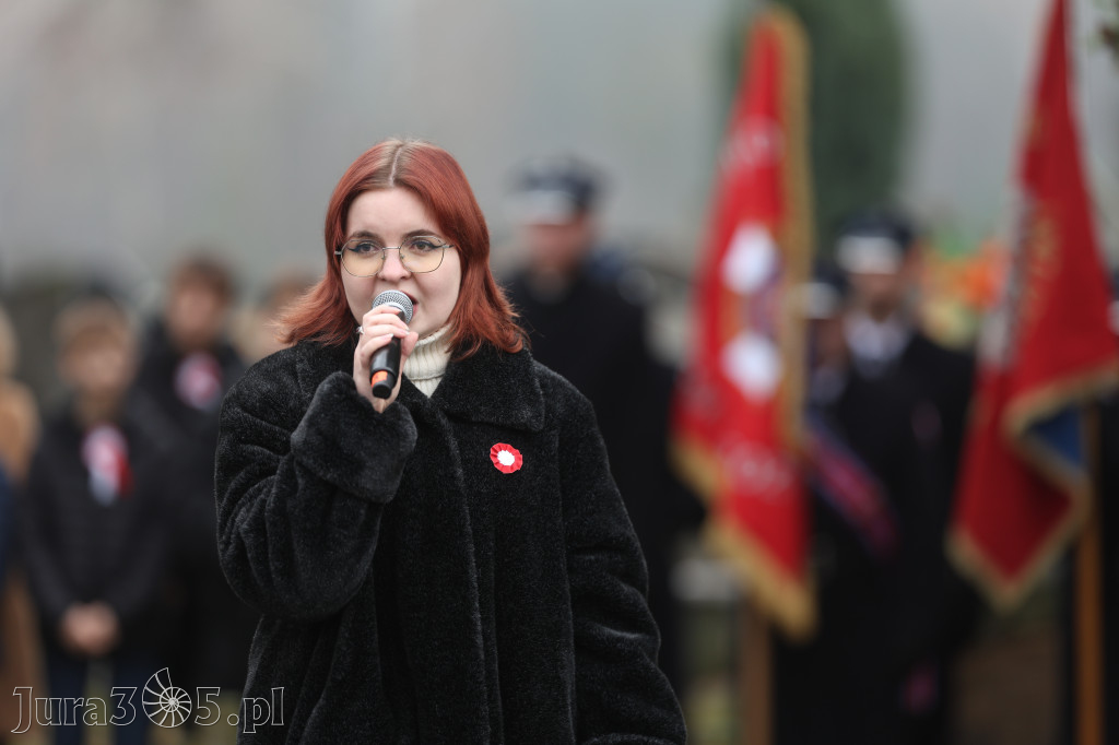 Fotorelacja: Święto Niepodległości w Zawierciu