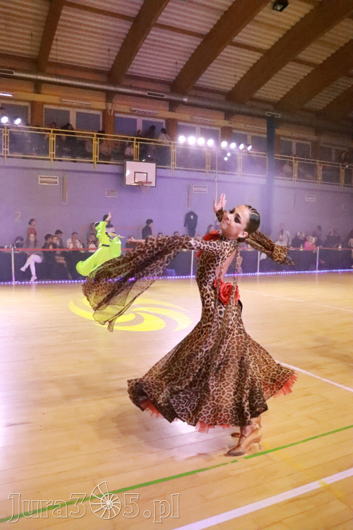 Fotorelacja VII: Otwarte Mistrzostwa Jury Krakowsko-Częstochowskiej w Koziegłowach