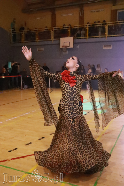 Fotorelacja VII: Otwarte Mistrzostwa Jury Krakowsko-Częstochowskiej w Koziegłowach