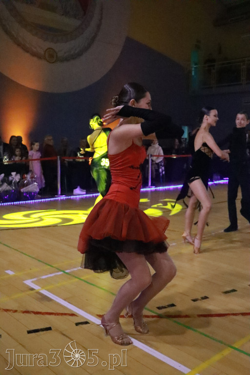 Fotorelacja VIII: Otwarte Mistrzostwa Jury Krakowsko-Częstochowskiej w Koziegłowach