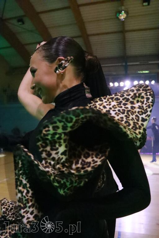 Fotorelacja VIII: Otwarte Mistrzostwa Jury Krakowsko-Częstochowskiej w Koziegłowach