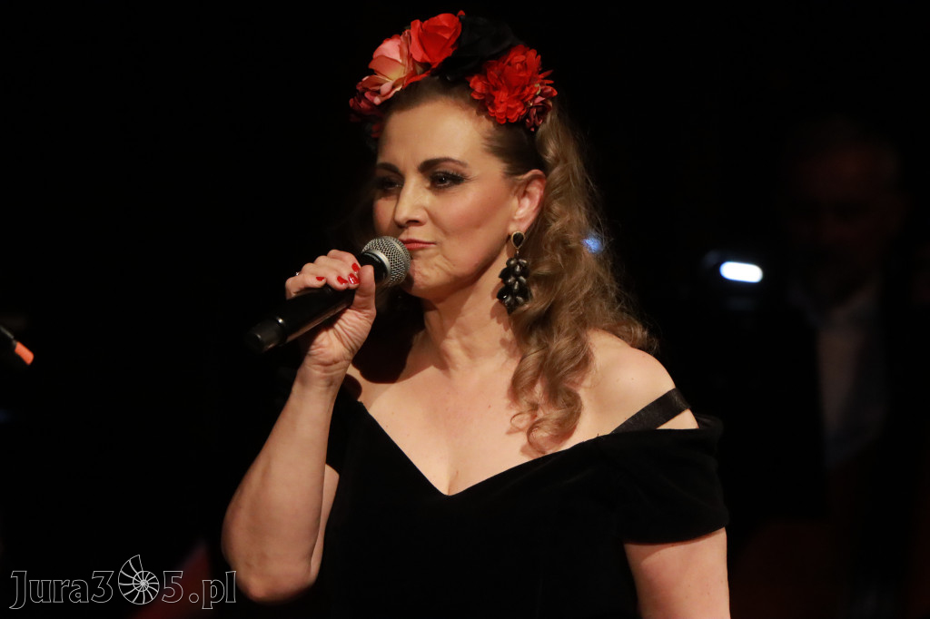 Fotorelacja II: Koncert Jubileuszowy Macieja Niesiołowskiego w MOK Zawiercie