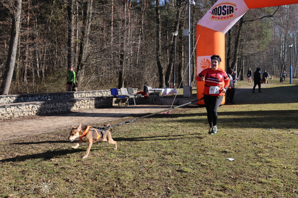 Fotorelacja I: Jurajski Dogtrekking w Myszkowie