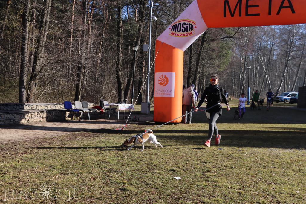 Fotorelacja I: Jurajski Dogtrekking w Myszkowie