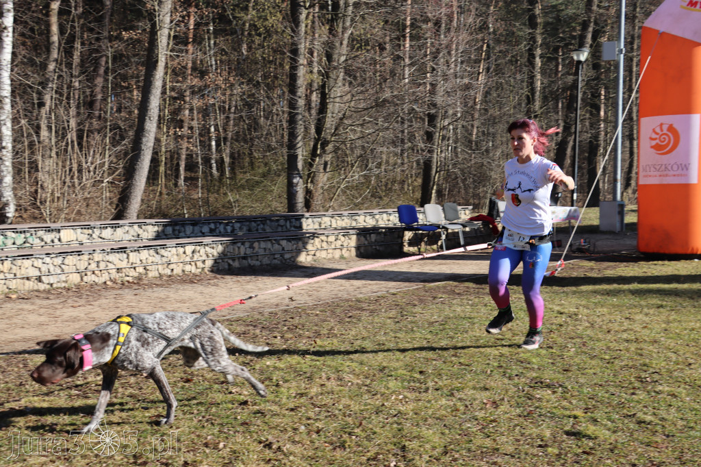 Fotorelacja I: Jurajski Dogtrekking w Myszkowie