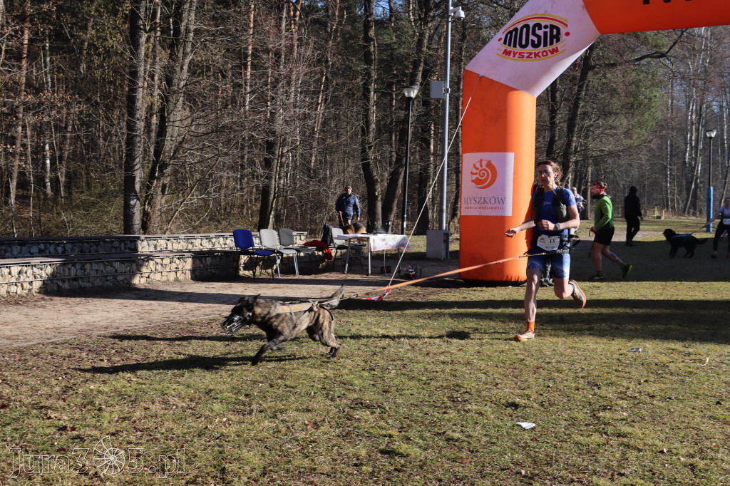 Fotorelacja I: Jurajski Dogtrekking w Myszkowie