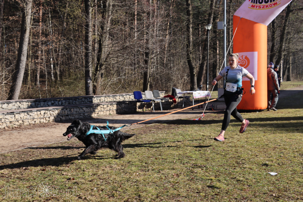 Fotorelacja I: Jurajski Dogtrekking w Myszkowie
