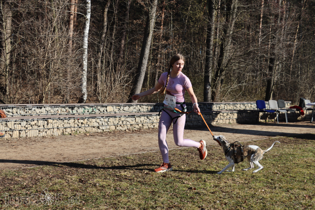 Fotorelacja I: Jurajski Dogtrekking w Myszkowie