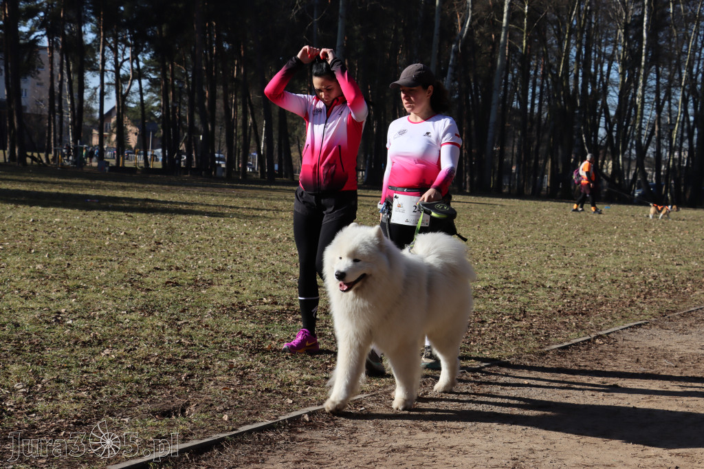 Fotorelacja I: Jurajski Dogtrekking w Myszkowie