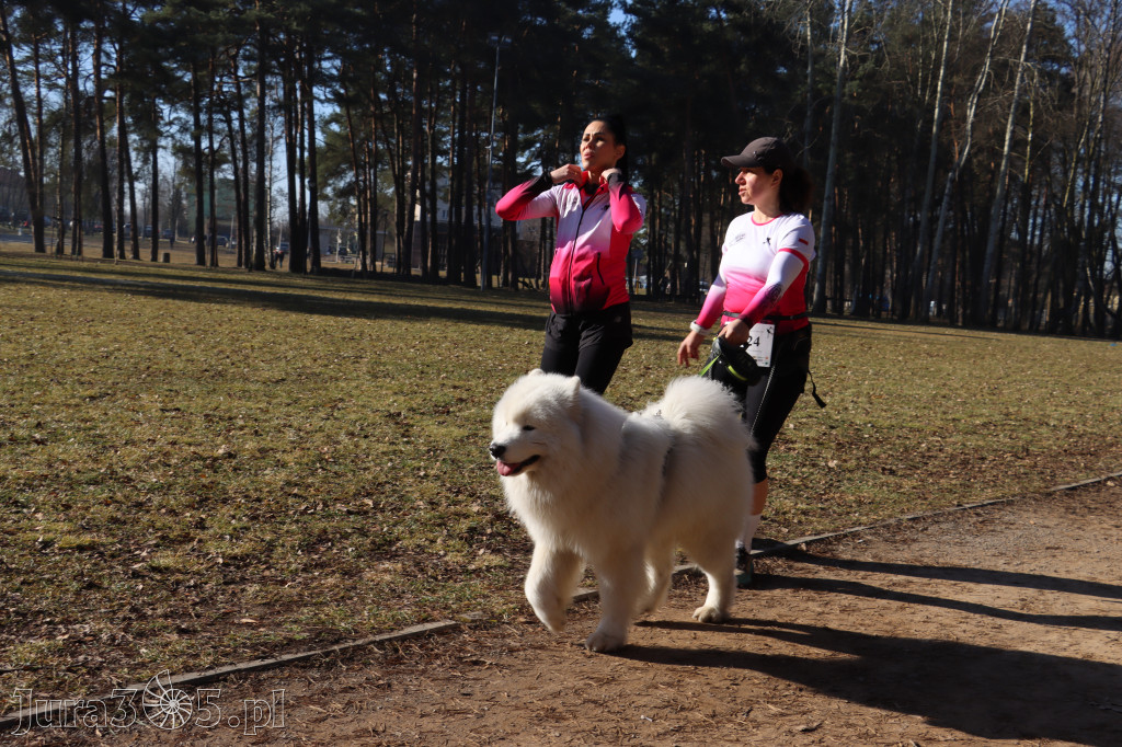 Fotorelacja I: Jurajski Dogtrekking w Myszkowie