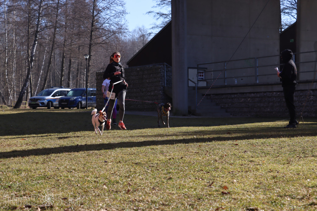 Fotorelacja I: Jurajski Dogtrekking w Myszkowie