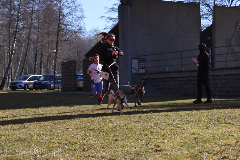 Fotorelacja I: Jurajski Dogtrekking w Myszkowie